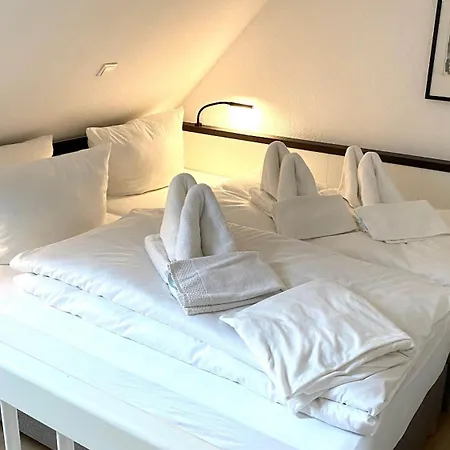 Backbord * モルズム